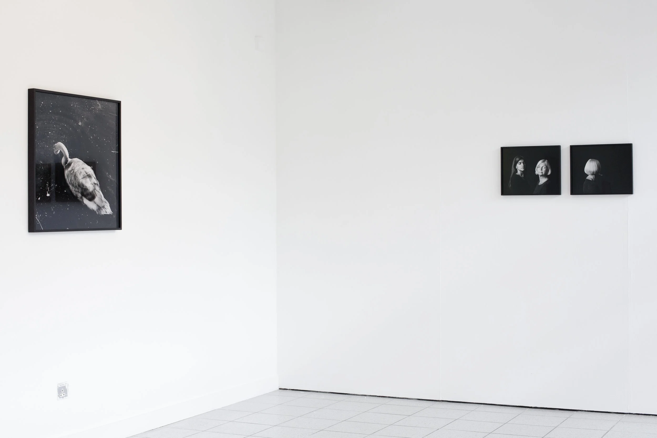 Solo Show — view 1 of 7