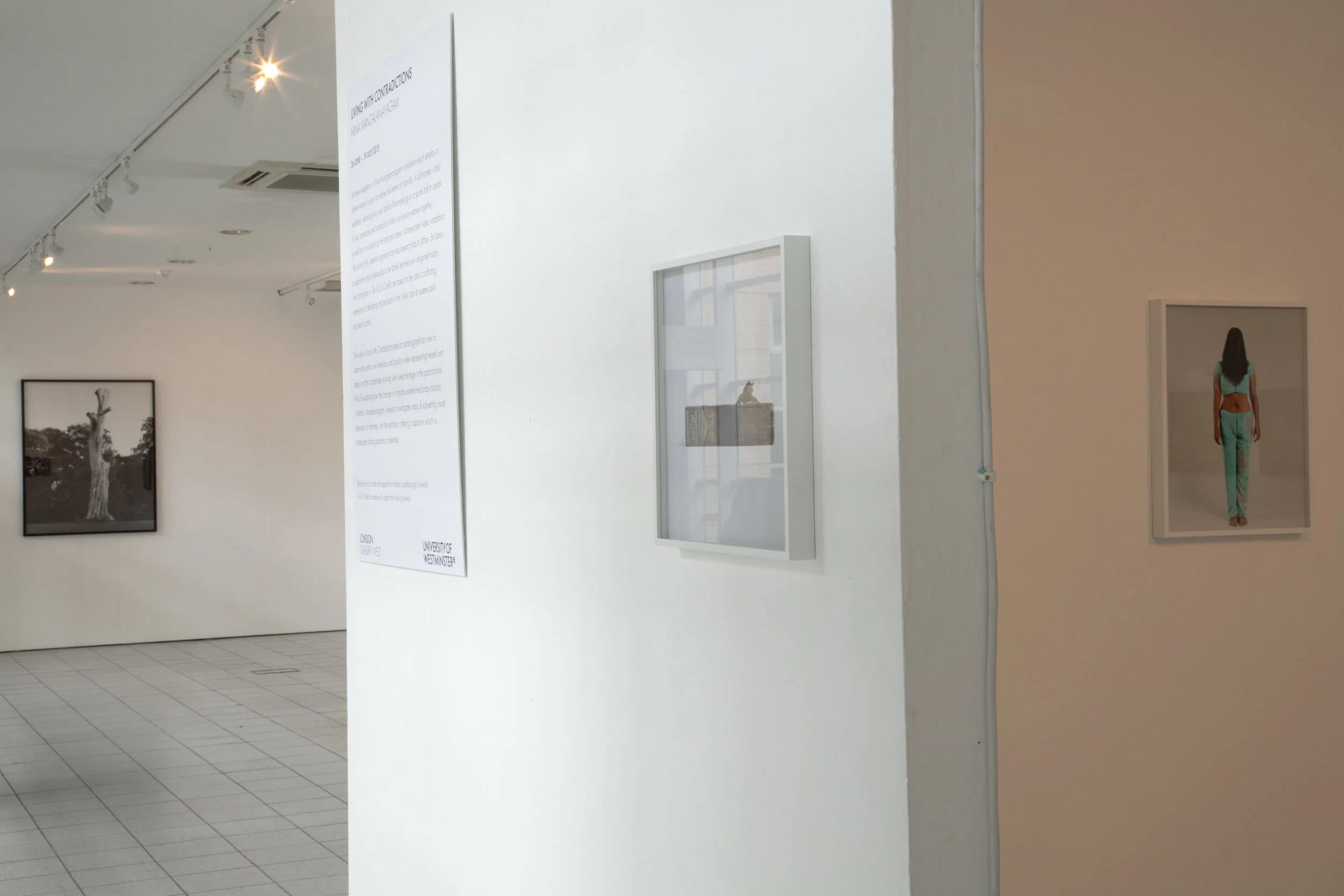 Solo Show — view 5 of 7