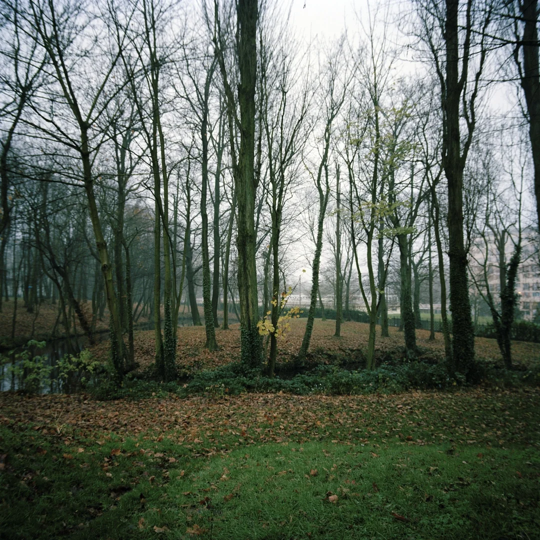 folds-01.jpg
