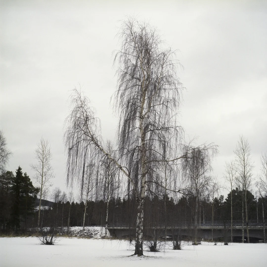 snotackt-07.jpg